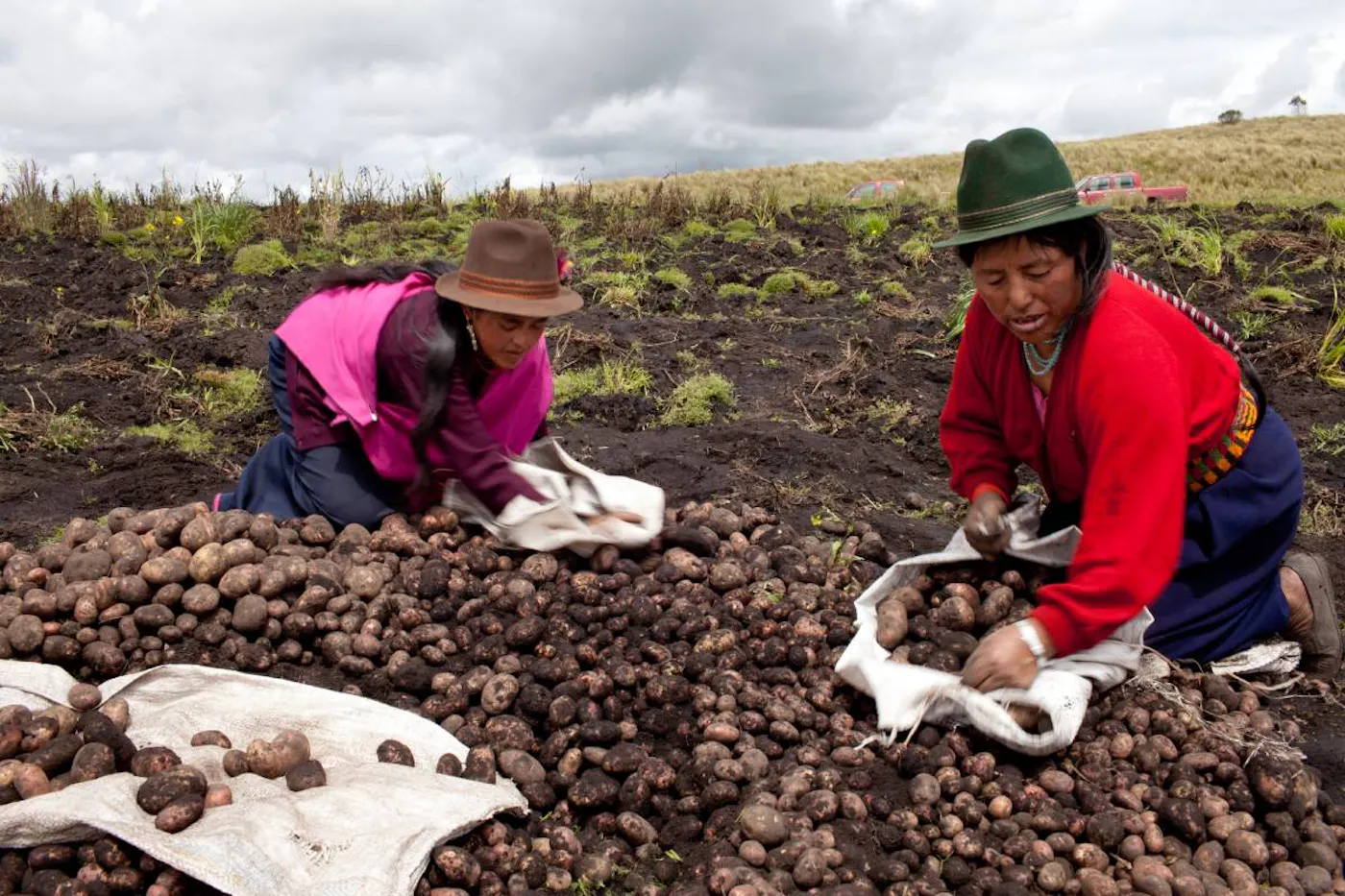 Strengthening Community Management of Biodiversity and Food Systems in Ecuador’s Andean Highlands